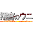 翔害のウニ (SHOUGAI  on  sea ​​urchin)