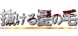 抜ける髪の毛 (orenokami)