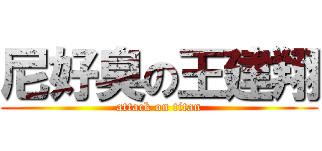 尼好臭の王建翔 (attack on titan)