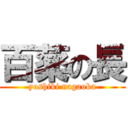 百薬の長 (yoshiki nagaoka)