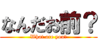 なんだお前？ (What are you?)