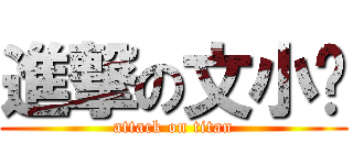 進撃の文小婧 (attack on titan)