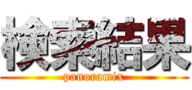 検索結果 (panoramix)