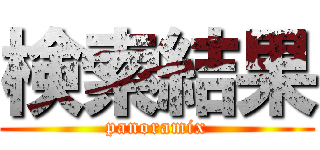 検索結果 (panoramix)