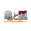 亀と狐 (Jordan&frechet)