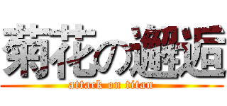 菊花の邂逅 (attack on titan)