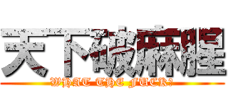 天下破麻腥 (WHAT THE FUCK?)