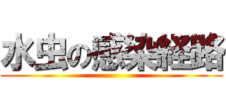 水虫の感染経路 ()