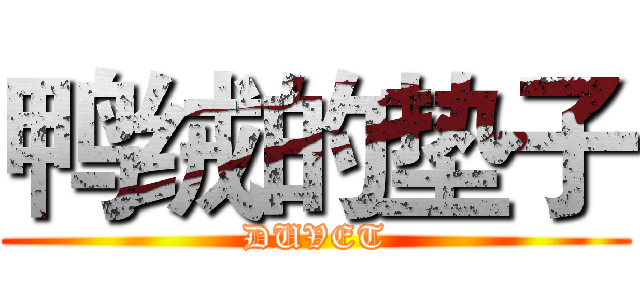 鸭绒的垫子 (DUVET)