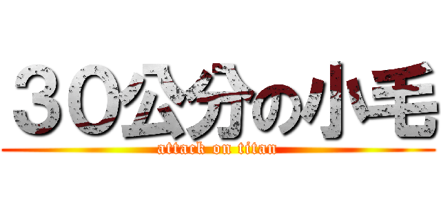 ３０公分の小毛 (attack on titan)
