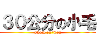 ３０公分の小毛 (attack on titan)