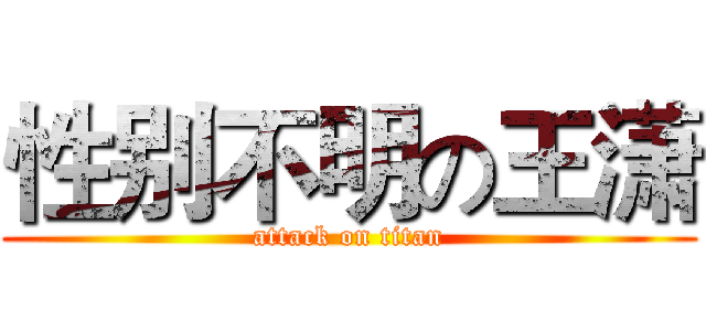性别不明の王潇 (attack on titan)