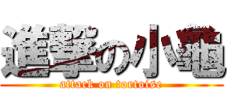 進撃の小龜 (attack on tortoise)