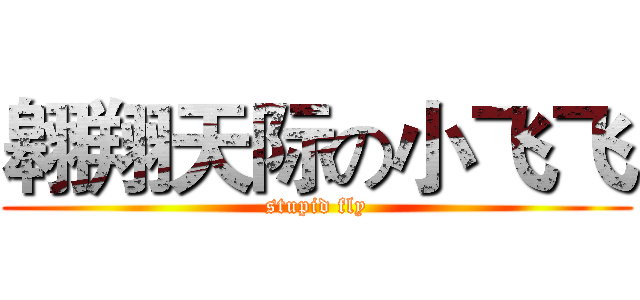 翱翔天际の小飞飞 (stupid fly)