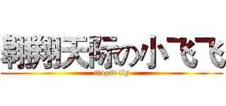 翱翔天际の小飞飞 (stupid fly)