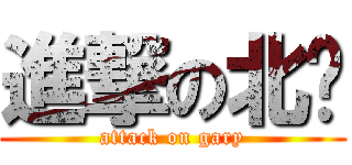 進撃の北鄉 (attack on gary)
