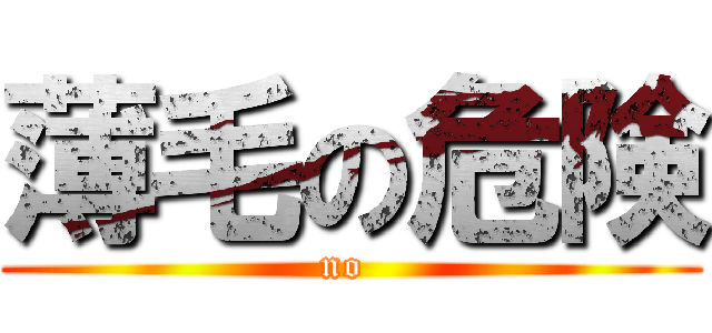 薄毛の危険 (no )