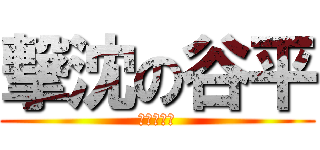 撃沈の谷平 (バカ丸出し)