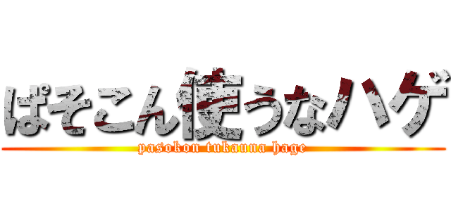 ぱそこん使うなハゲ (pasokon tukauna hage)