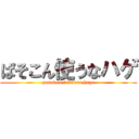 ぱそこん使うなハゲ (pasokon tukauna hage)