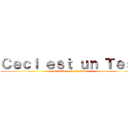 Ｃｅｃｉ ｅｓｔ ｕｎ Ｔｅｓｔ (Massive test experience)