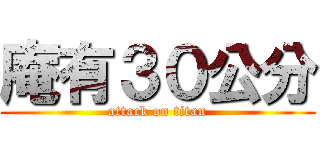 庵有３０公分 (attack on titan)