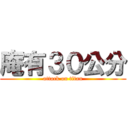 庵有３０公分 (attack on titan)