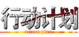 行动计划 (action plan)