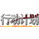 行动计划 (action plan)