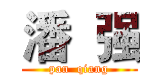 潘  强 (pan  qiang)