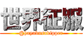 世界征服 (@hayabusavipper)