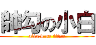 帥勾の小白 (attack on titan)