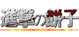 進撃の餅子 (attack on SheLei)