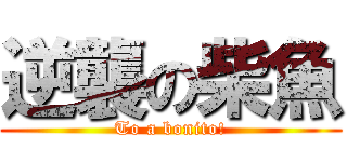 逆襲の柴魚 (To a bonito!)