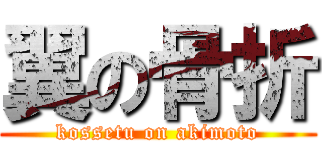 翼の骨折 (kossetu on akimoto)