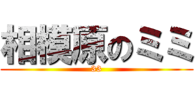 相模原のミミ (33)