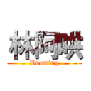 林阿哄 (Booming)
