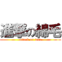 進撃の綿毛 (attack on wax)