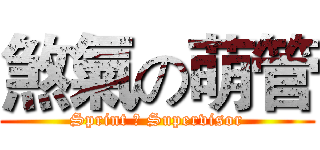 煞氣の萌管 (Sprint の Supervisor)