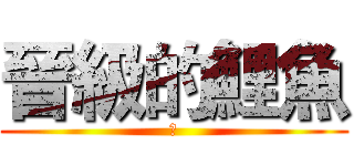晉級的鯉魚 (哈)