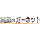 実選のガーネット (Experimenter)