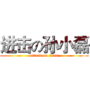 进击の孙小磊 (attack on titan)