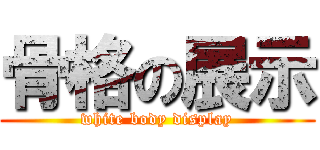 骨格の展示 (white body display)