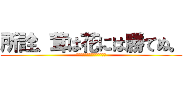 所詮、茸は花には勝てぬ。 (しょせんきのこははなにはかてぬ)