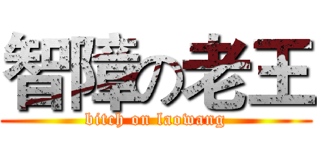 智障の老王 (bitch on laowang)