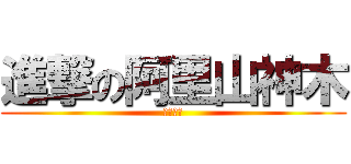 進撃の阿里山神木 (最後一棵)