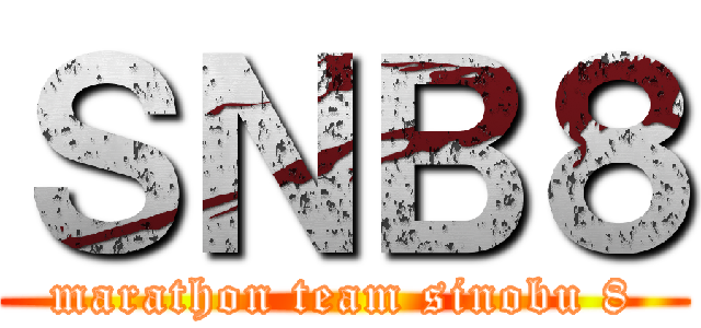 ＳＮＢ８ (marathon team sinobu 8)