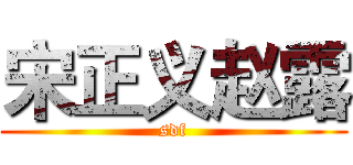 宋正义赵露 (sdf)