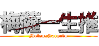 梅薩一生推 (MelenxSalgado)