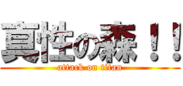 真性の森！！ (attack on titan)